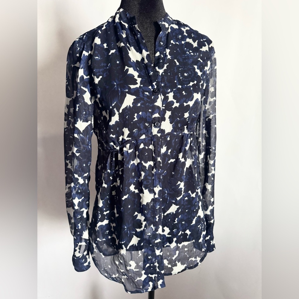 Express Sheer Top Size XS